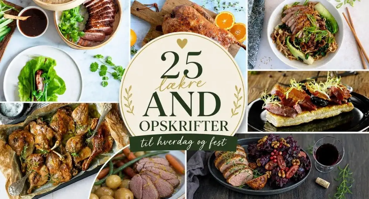 25 lækre and opskrifter til hverdag og fest