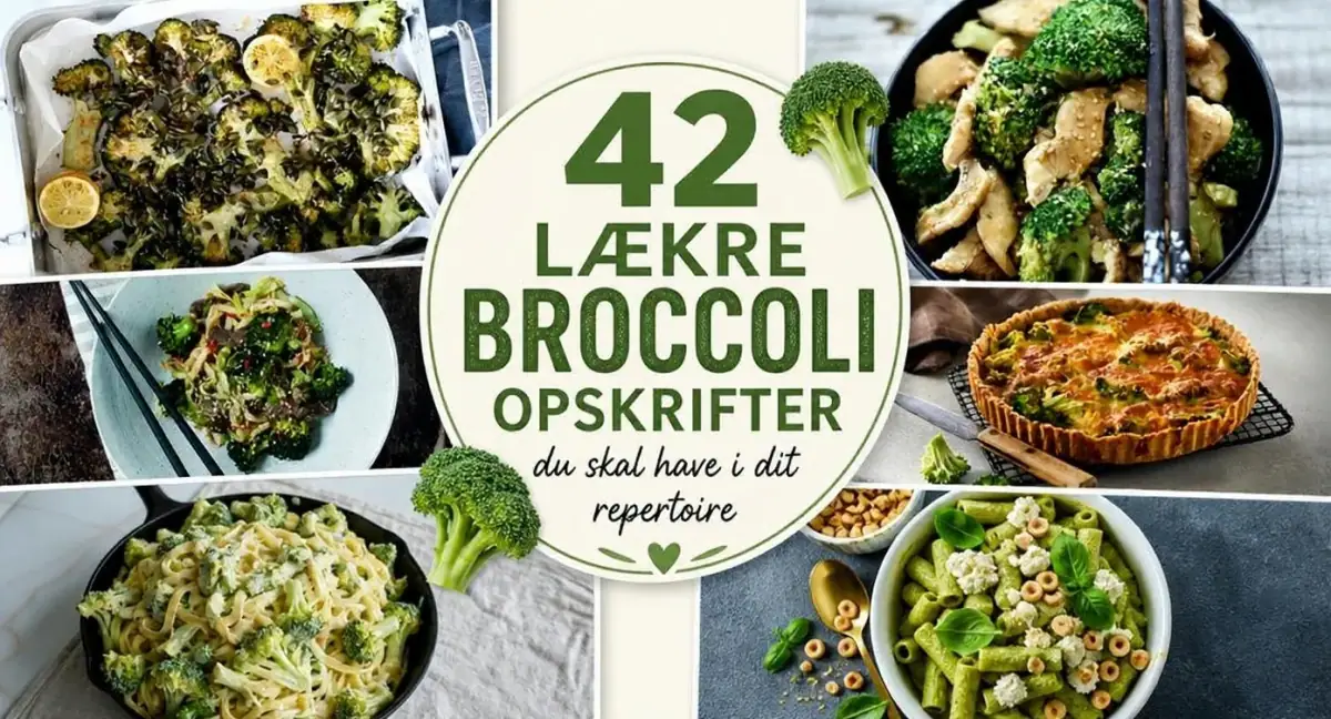 42 lækre broccoli opskrifter du skal have i dit repertoire
