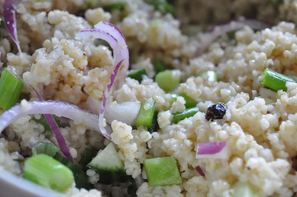 Bulgursalat med olie-eddike-dressing, forårsløg og tranebær