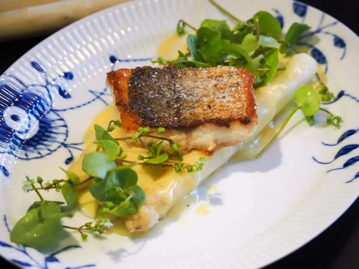 Hvide asparges, skindstegt kuller og hollandaise