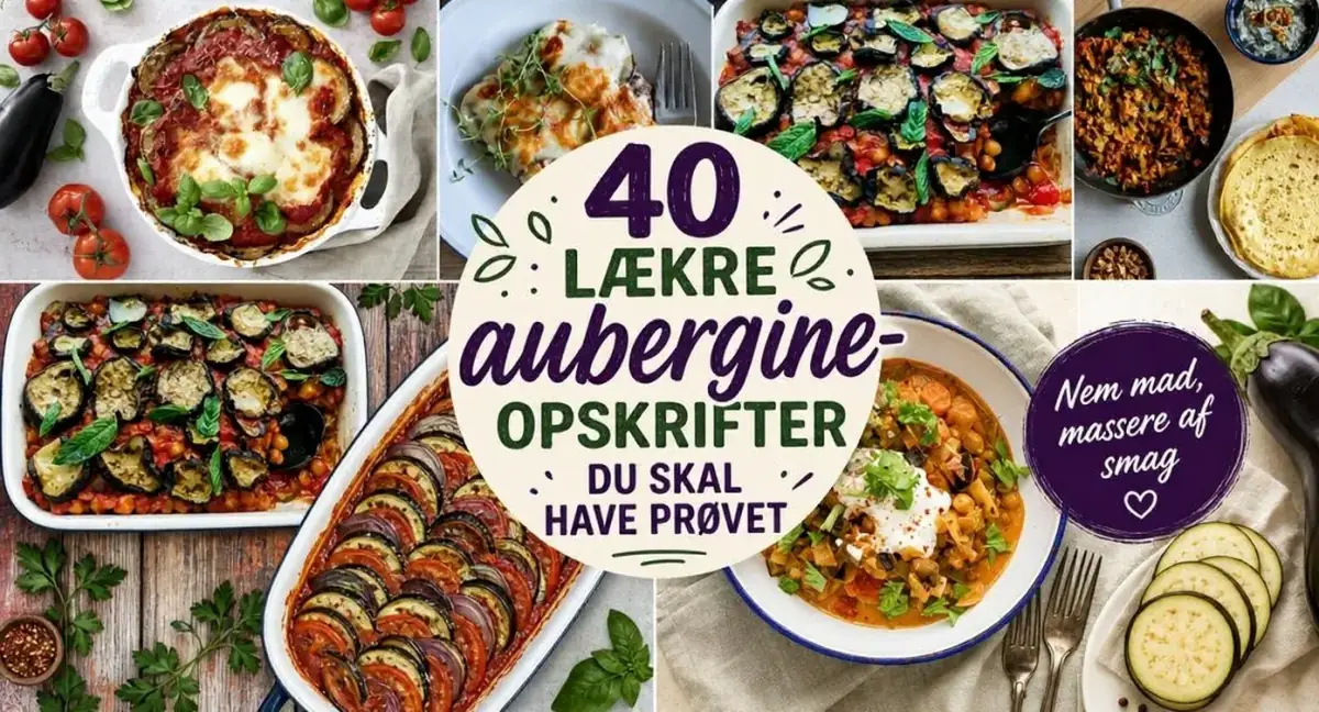 40 lækre aubergine-opskrifter du skal have prøvet