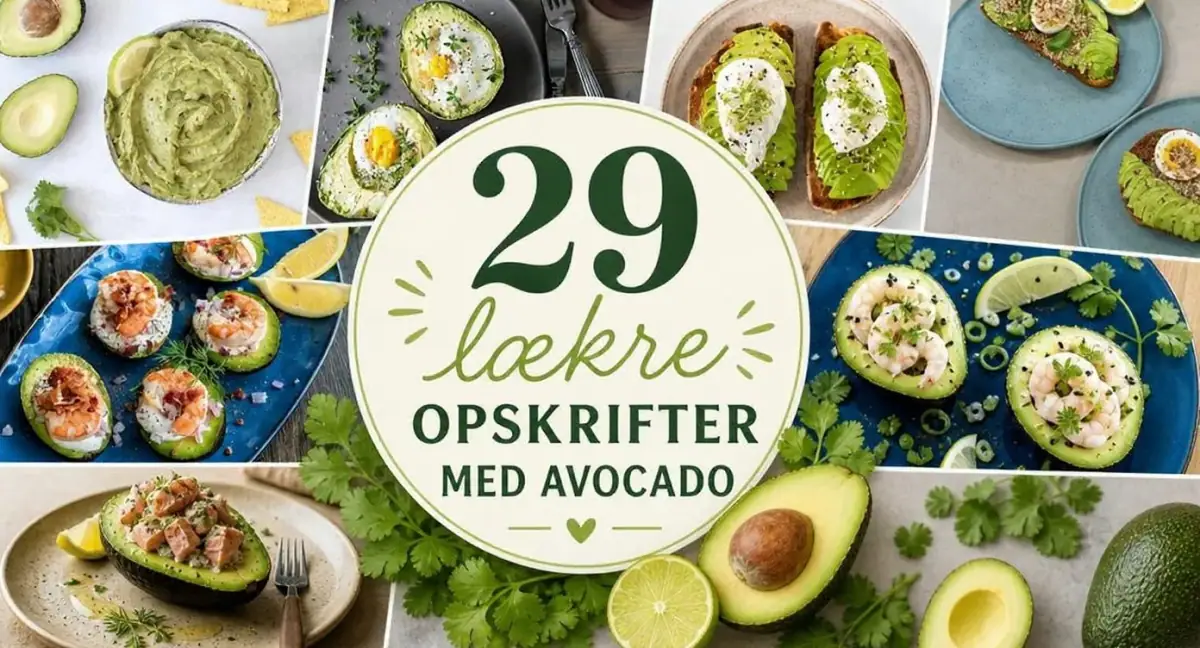 29 lækre opskrifter med avocado