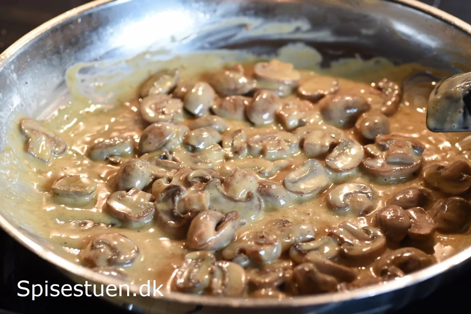 Flødestuvet champignon på ristet brød