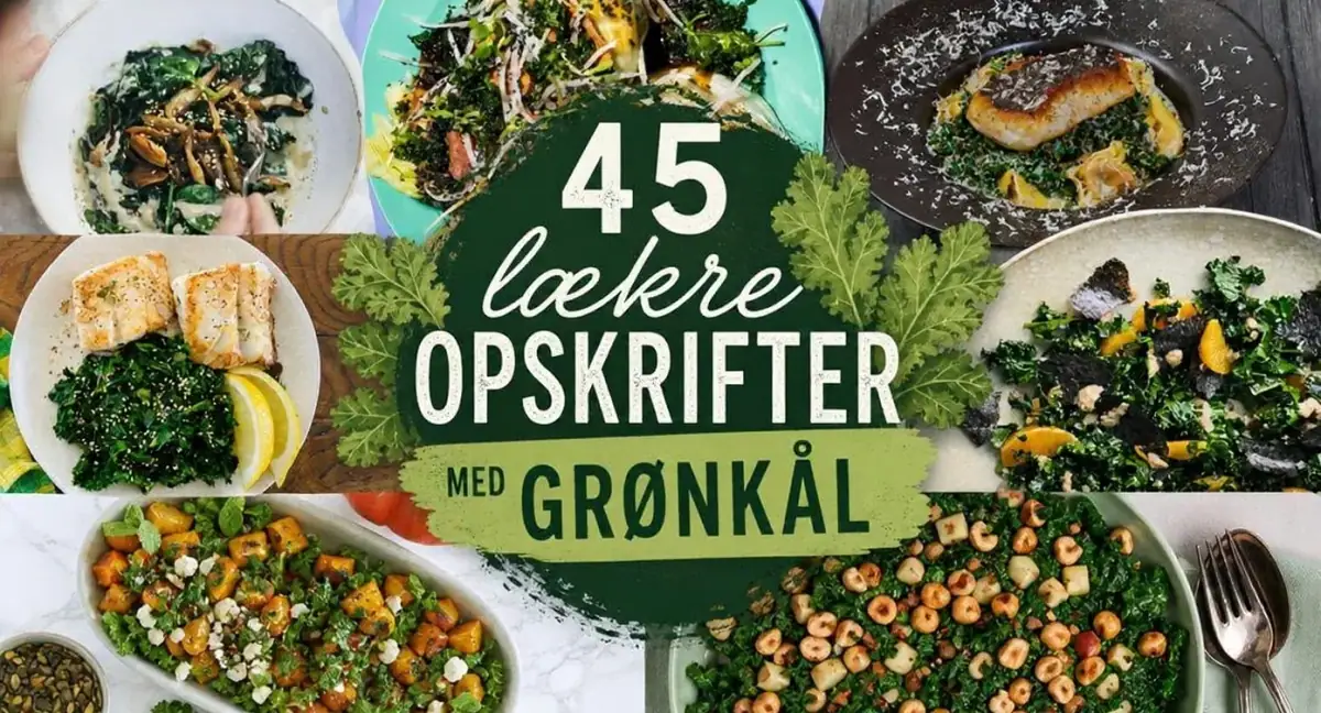 45 lækre opskrifter med grønkål