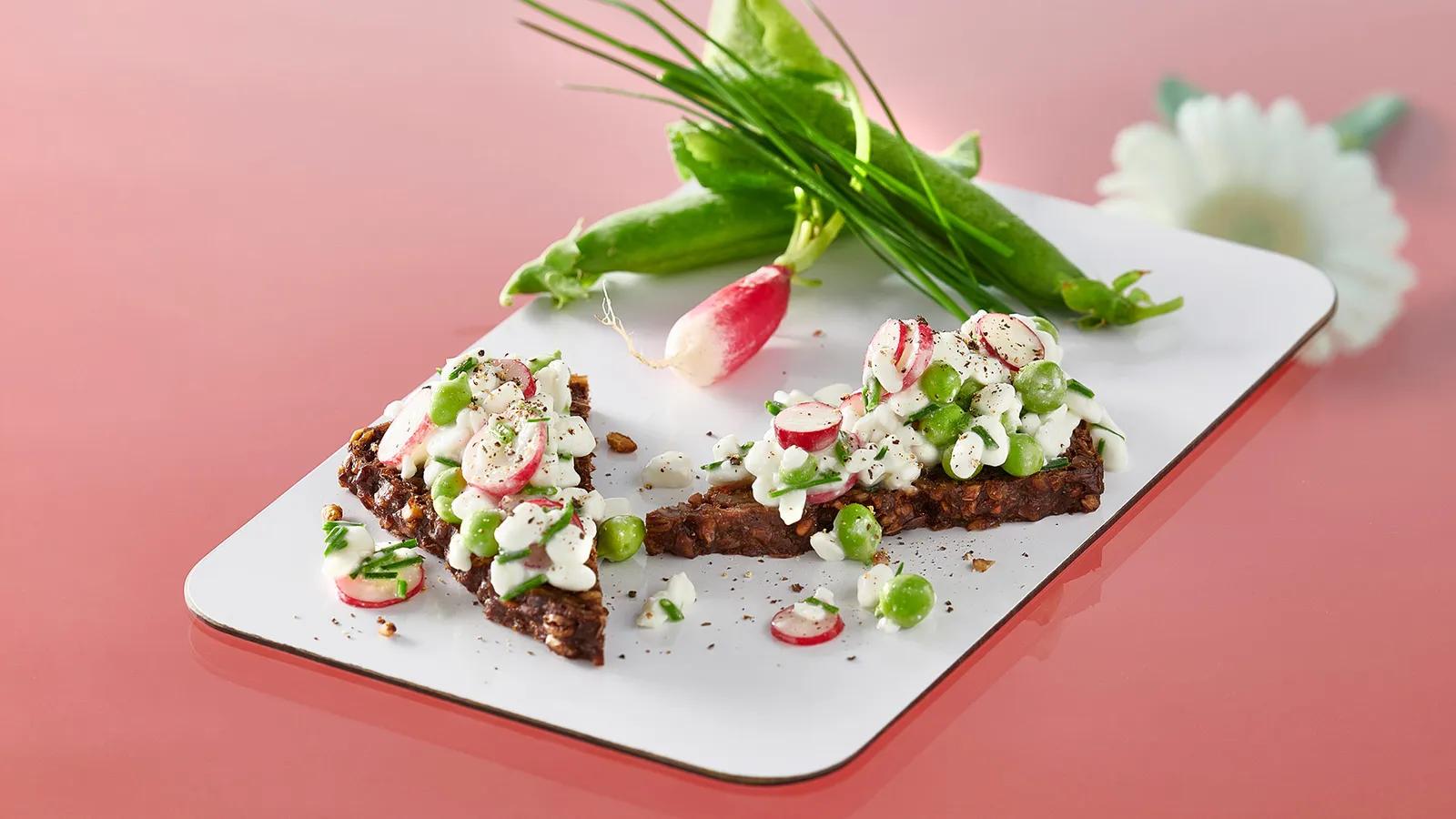 Sommersalat med hytteost