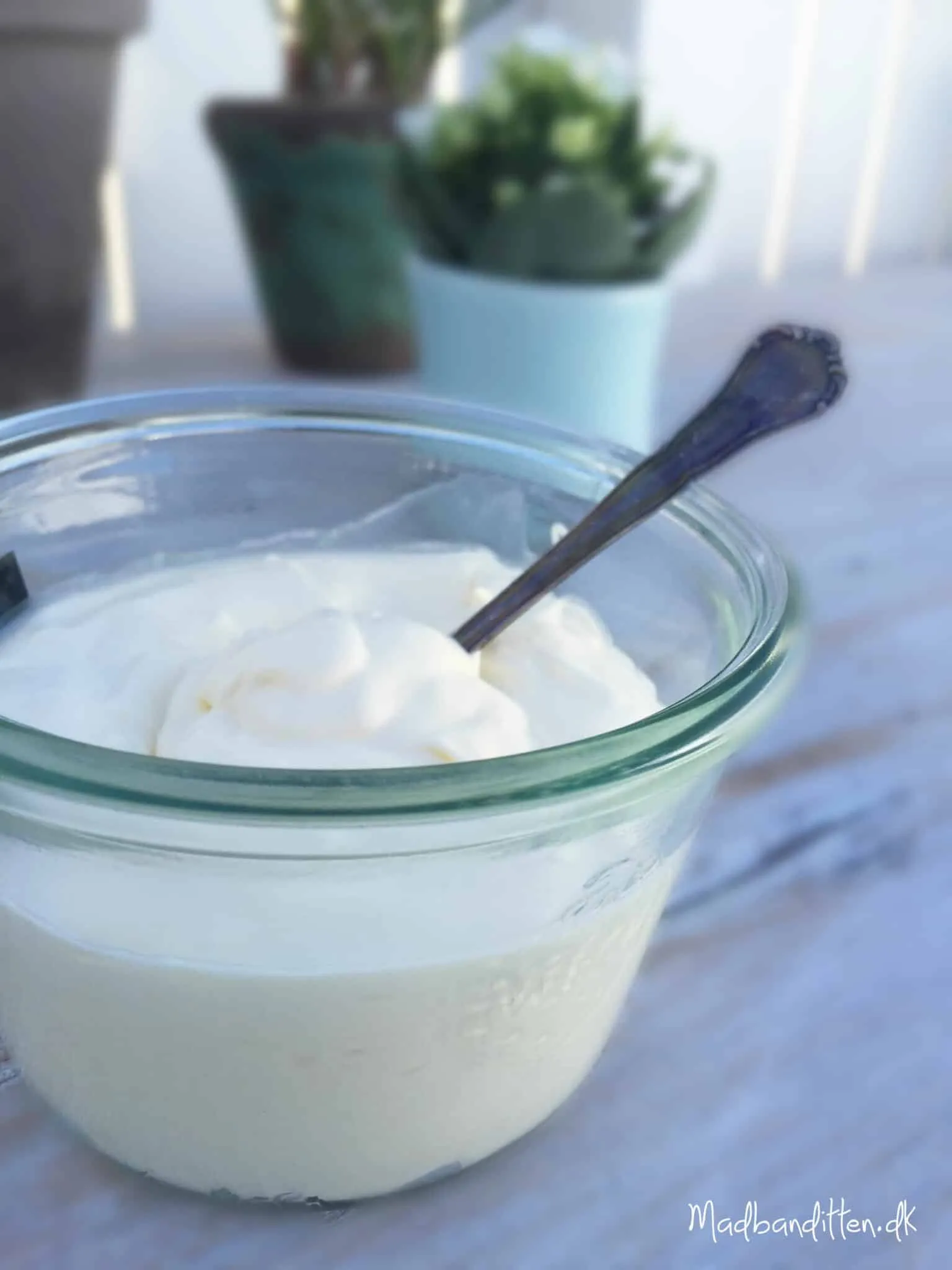 Kefir-cremefraiche