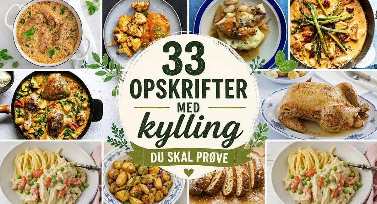 33 nemme opskrifter med kylling