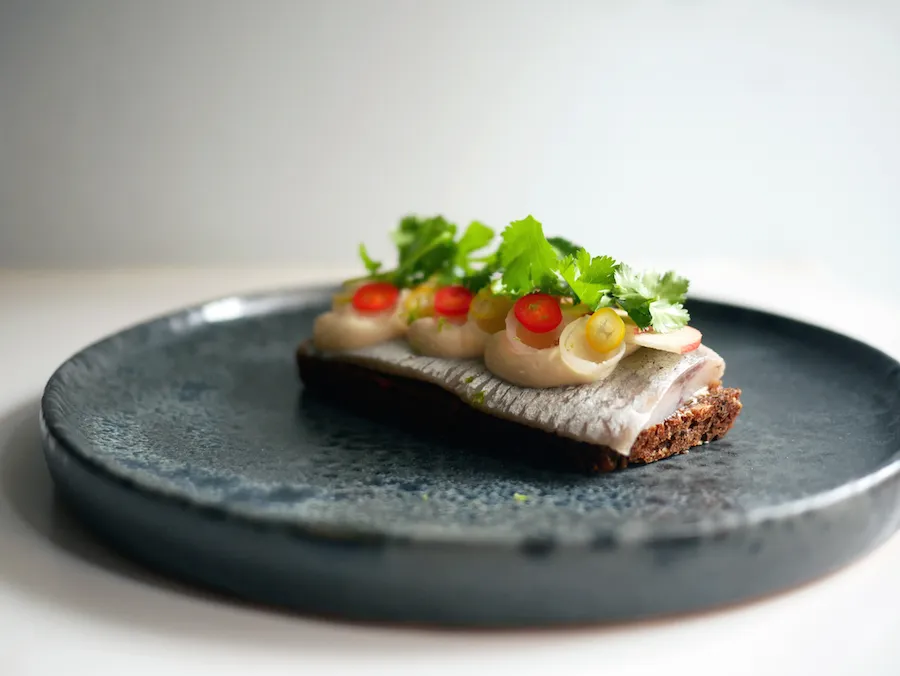 Gammeldags modnet marineret sild med et asiatisk twist