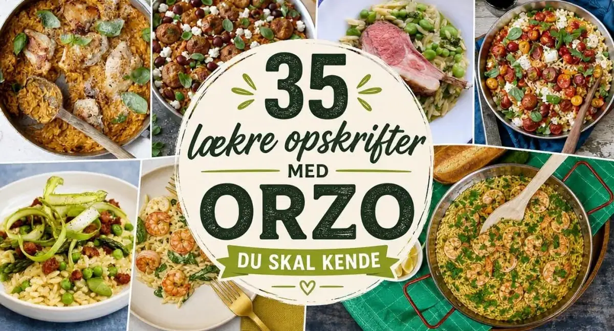 35 lækre opskrifter med orzo du skal kende