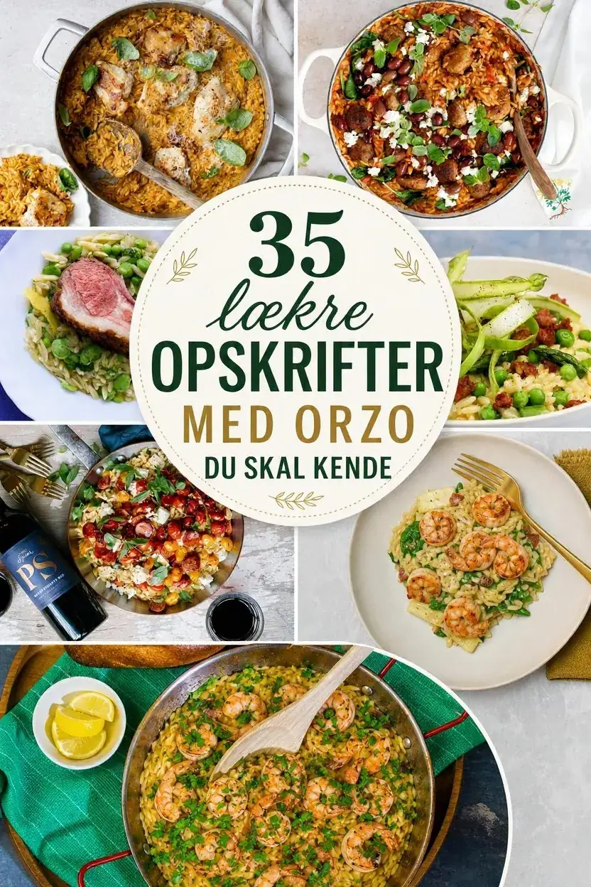 35 lækre opskrifter med orzo du skal kende