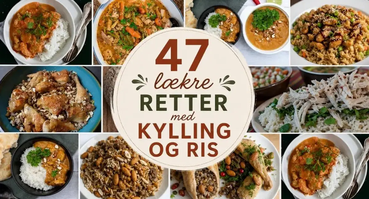 47 lækre retter med kylling og ris