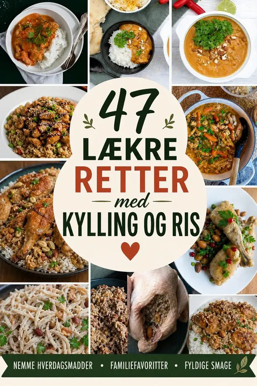 47 lækre retter med kylling og ris