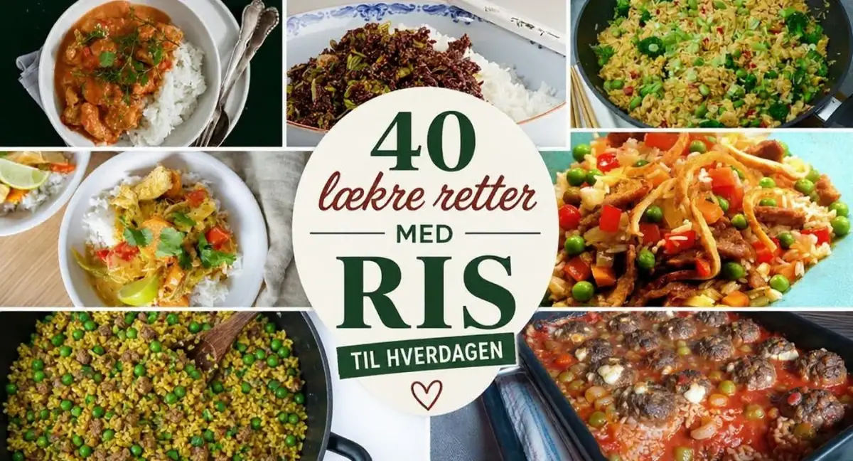 40 lækre retter med ris til hverdagen